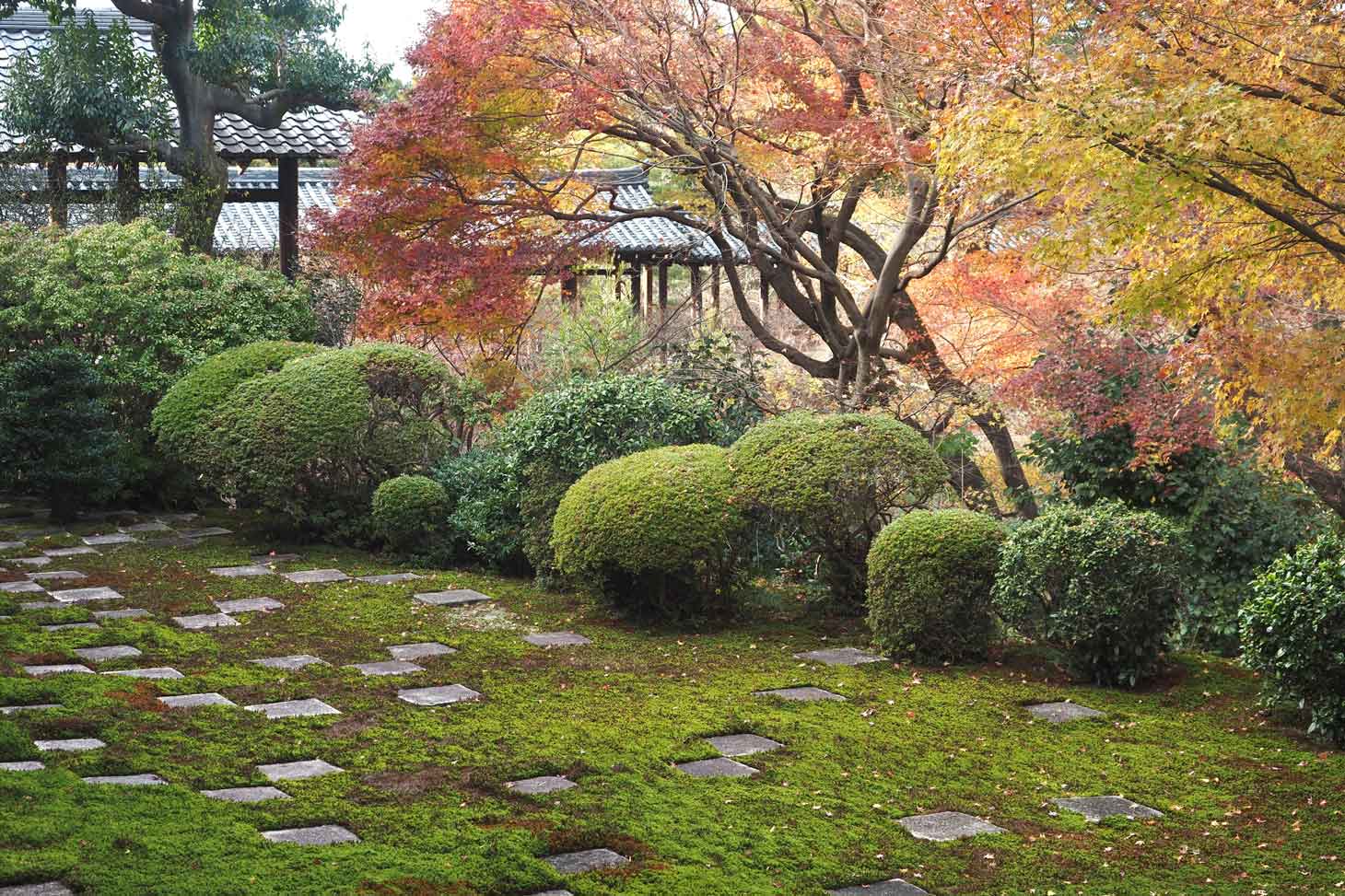 Jardin du Tofuku-ji, Kyoto -  ©Manon Paul-Traversaz