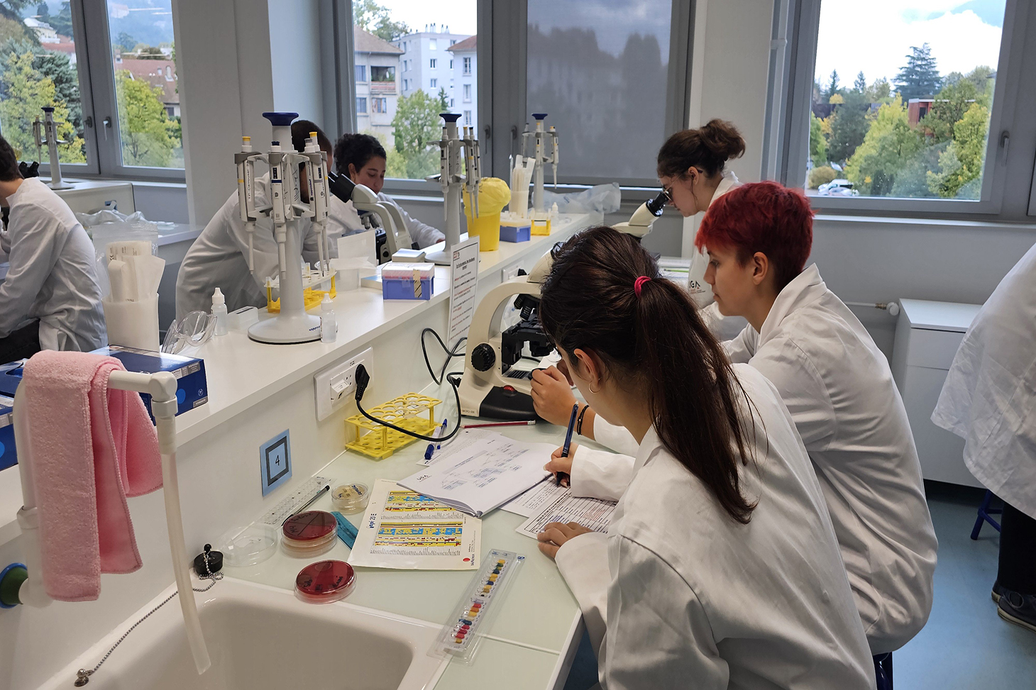 Etudiants au sein du BioTechLab