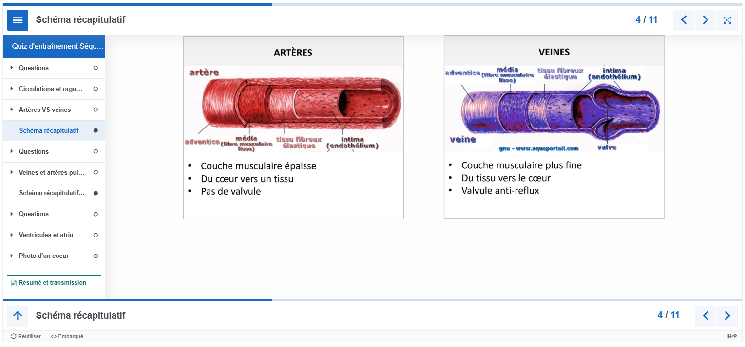 Exemple d'un feedback alternatif avec l'outil H5P