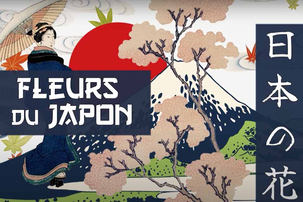 Fleurs du Japon - Podcasts