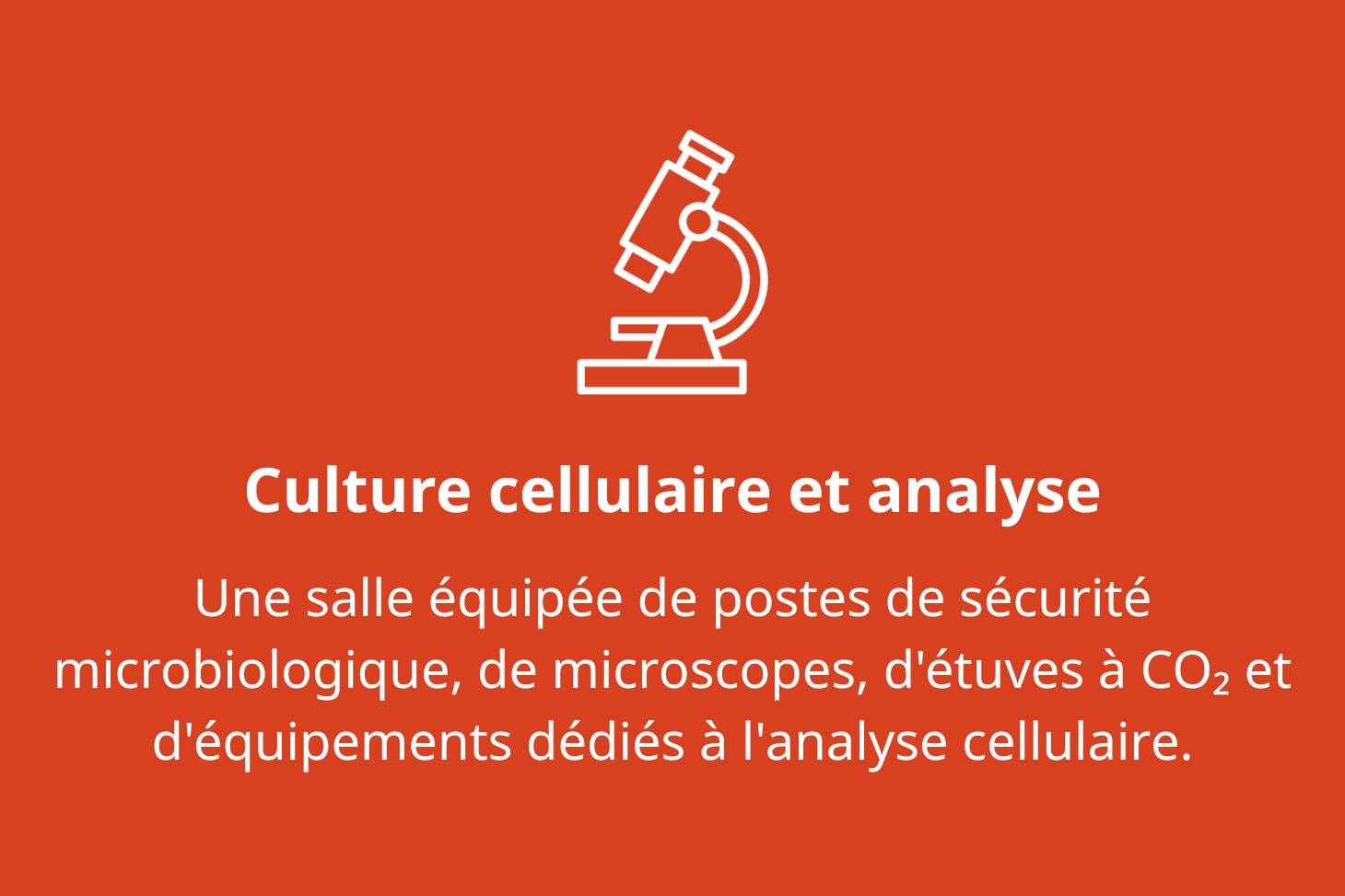 Image descriptive culture cellulaire