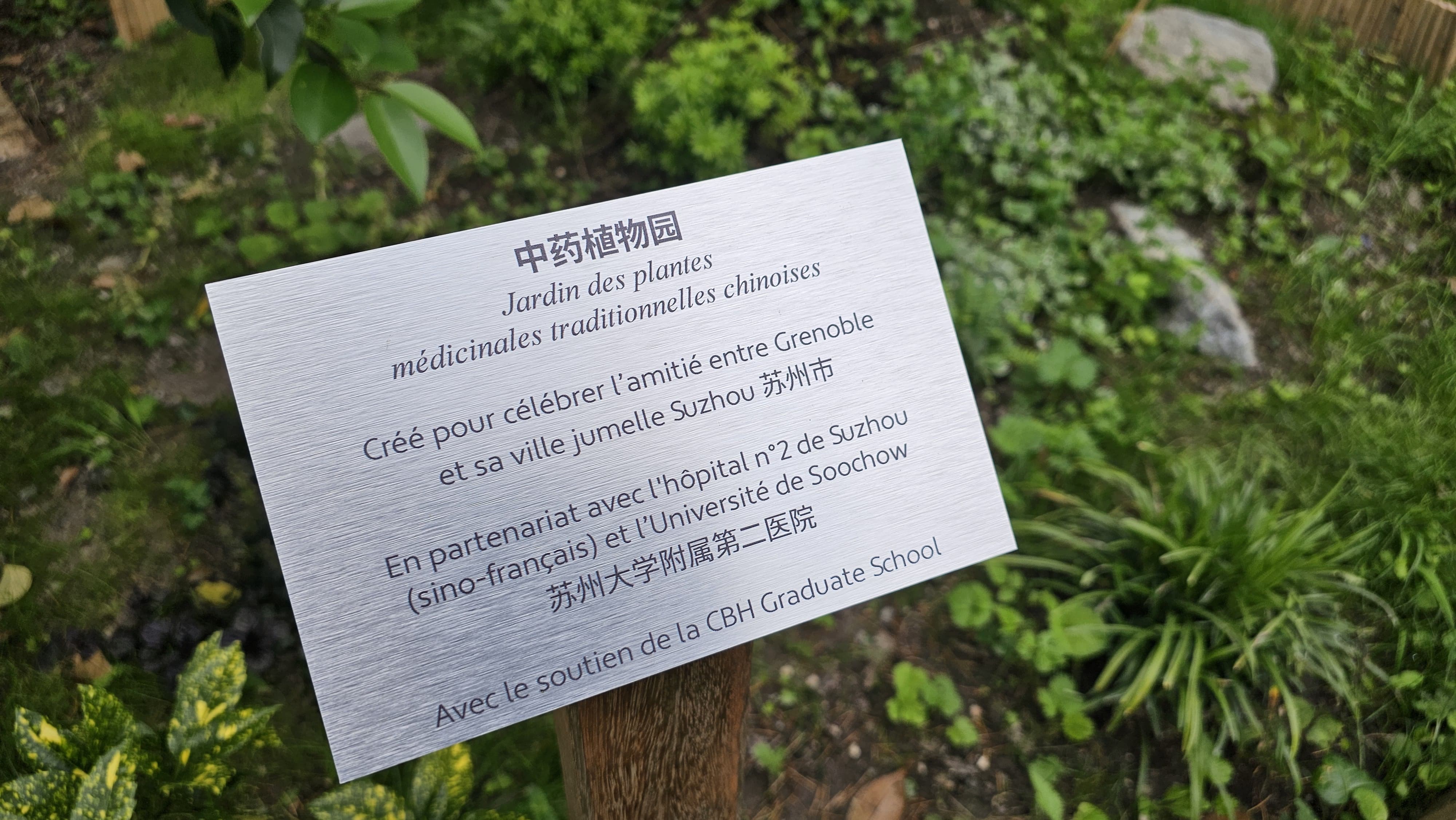 Panneau de la nouvelle collection célébrant l’amitié entre Grenoble et Suzhou, à travers les plantes médicinales chinoises.