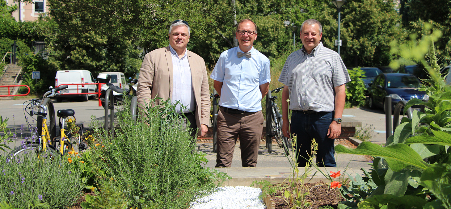 Inauguration du jardin médiéval des quatre humeurs - Jardin Dominique Villars - Juillet 2017