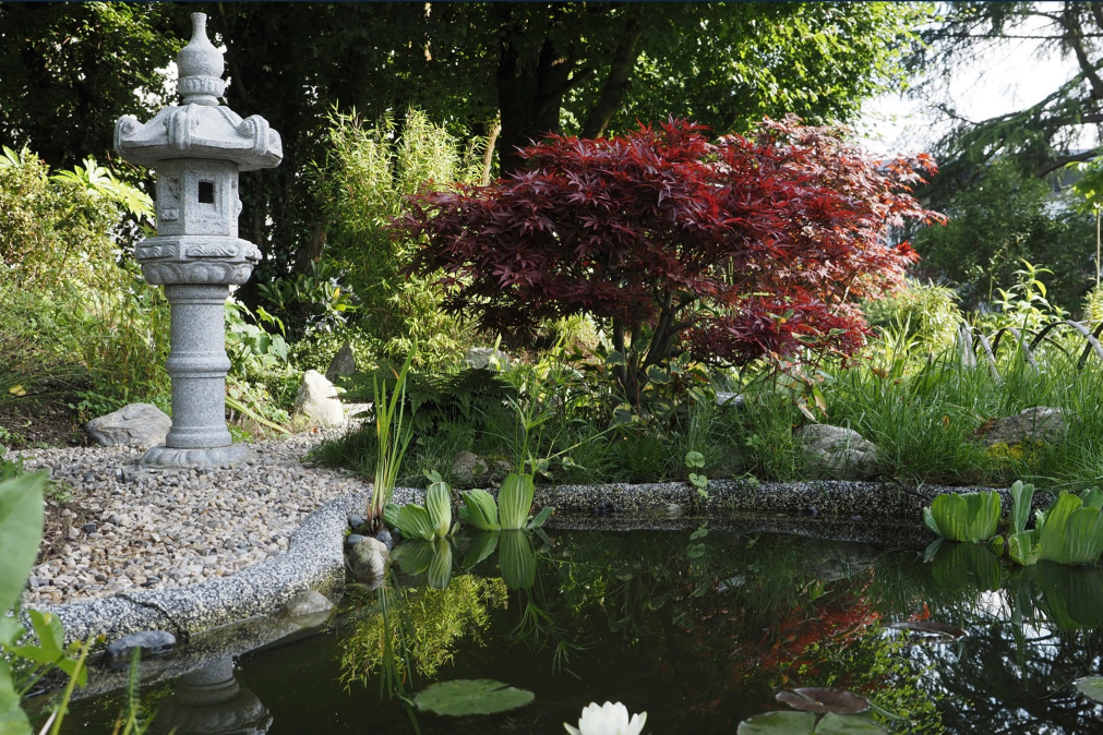 Jardin japonais - Jardin botanique Dominique Villars - © Manon Paul-Traversaz