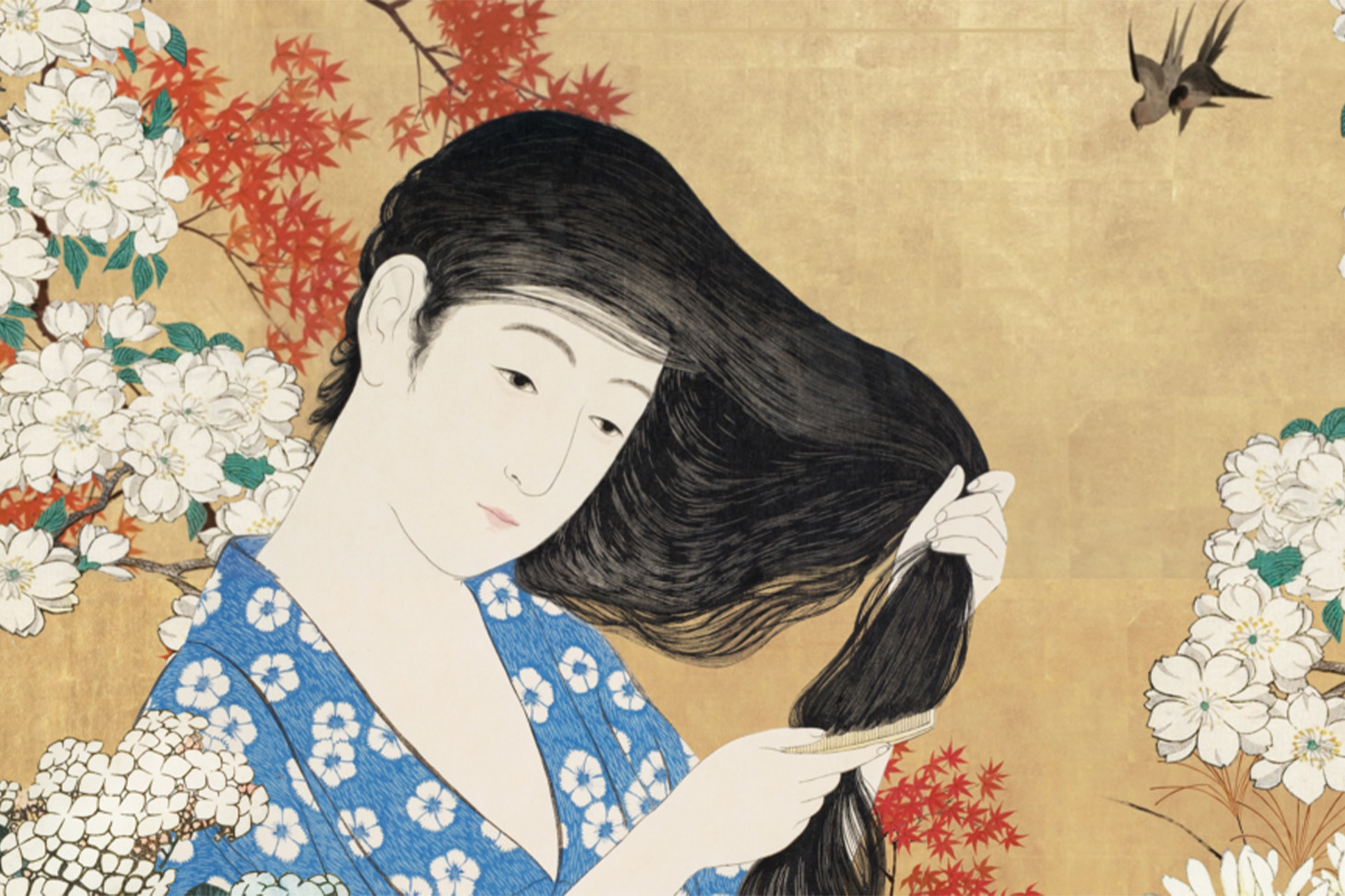 Photo festival du japon