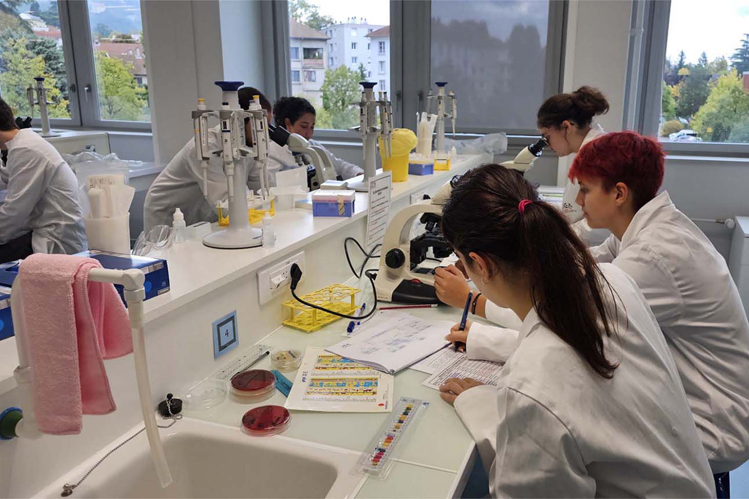 étudiants au sein du biotechlab